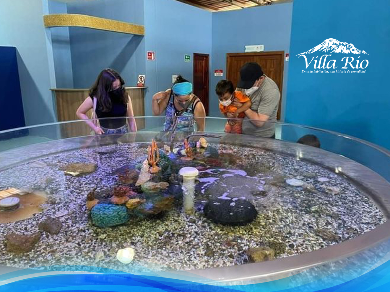 Acuario Valdivia